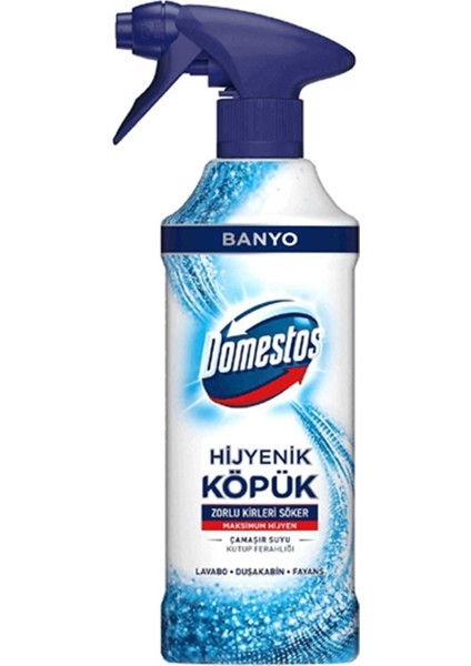 Hijyenik Köpük Banyo Temizleyici Kutup Ferahlığı - 450 ml