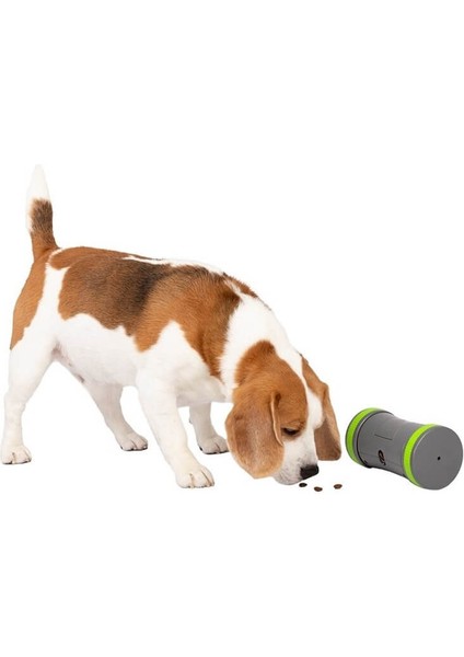 Petsafe Gezinen Atıştırmalık Köpek Oyuncağı fiyatları