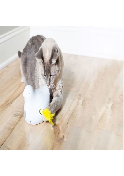 Petsafe Kuş İnteraktif Kedi Oyuncağı fiyatları