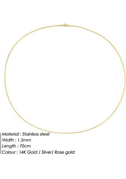 316L Paslanmaz Çelik Yılan Zincir Kadın Genişlik 2/3/4/5 mm Kolye (Yurt Dışından)