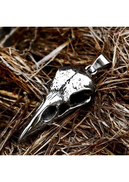 Iskandinav Odin Karga Ll Gotik Paslanmaz Çelik Raven Ll Kolye (Yurt Dışından)