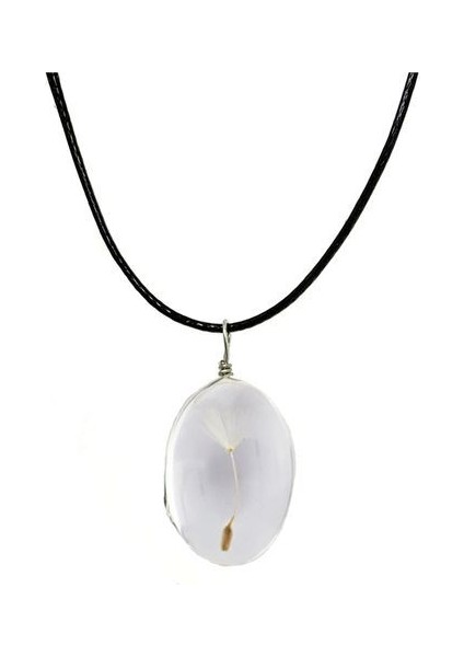 Yuvarlak Karahindiba Kurutulmuş Çiçek Doğal Karahindiba Kolye (Yurt Dışından)