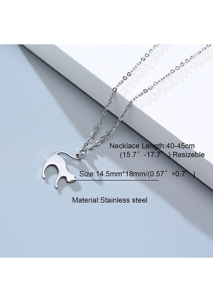 Erkekler Kadın Günlük Ler, Paslanmaz Çelik Tüy Geometrik Kolye (Yurt Dışından)