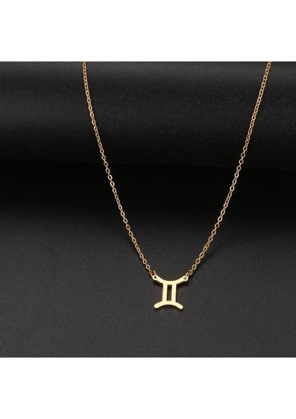 Paslanmaz Çelik Zodyak 12 Takımyıldızı Cz Astroloji Kolye (Yurt Dışından)
