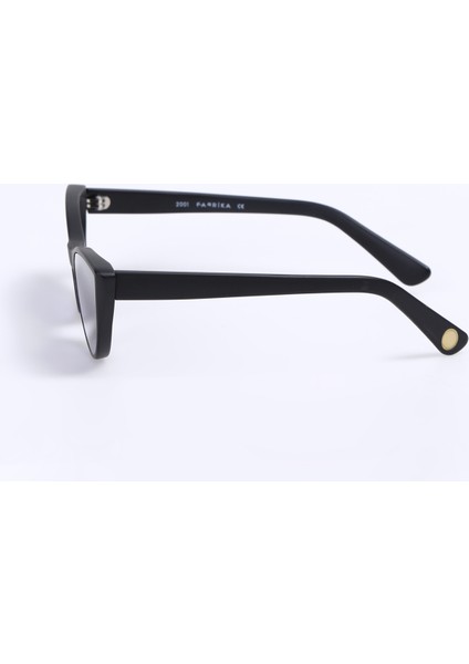 Kadın Güneş Gözlüğü GSSFB04401 modelleri