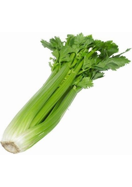 Çanakkale Kereviz Tohumu (10 Gram)