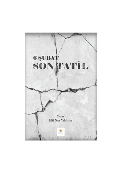 6 Şubat Son Tatil - Elif Naz Yıldırım