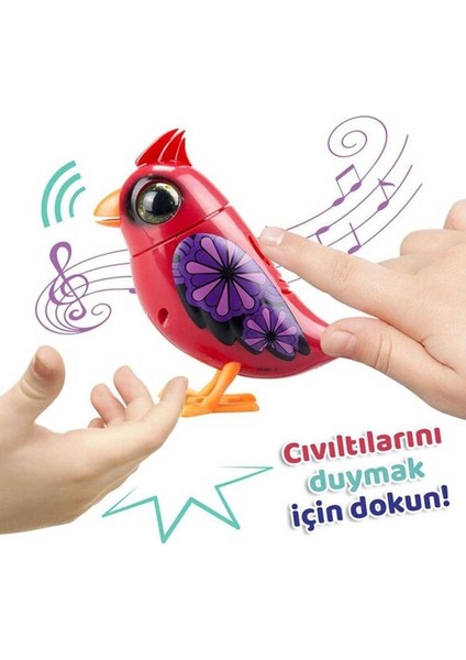 Digibirds Tekli Paket Seri-1 8&apos;li Display Kırmızı