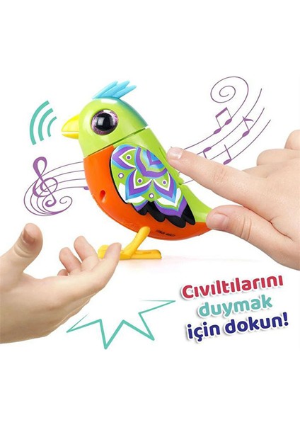 Dıgıbırds Teklı Paket Serı-2 8&apos;lı Dısplay Turuncu Yeşil modelleri