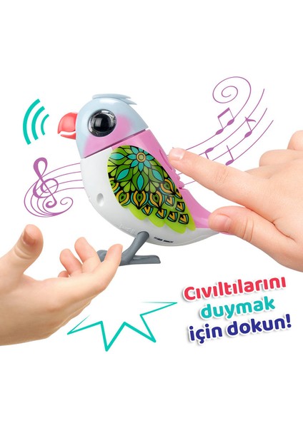 Dıgıbırds Teklı Paket Serı-2 8&apos;lı Dısplay Pembe Beyaz modelleri