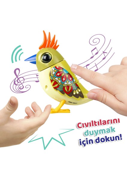 Dıgıbırds Teklı Paket Serı-2 8&apos;lı Dısplay Sarı Yeşil modelleri
