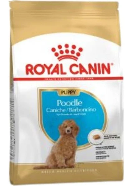 Royal Canin Poodle Puppy Köpek Maması 3 Kg