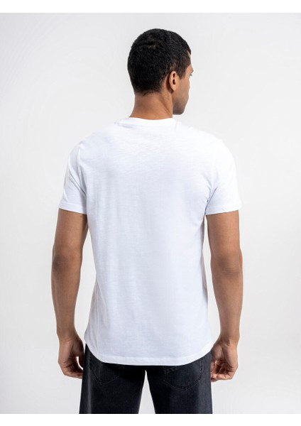 Regular Fit Erkek Tshirt K.kol