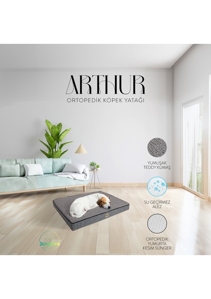 Arthur, Visco Süngerli, Çıkarılabilir Kılıflı, Su Geçirmez, Yüksek Kaliteli Kedi ve Köpek Yatağı