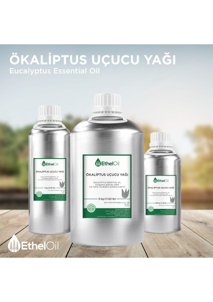 Ökaliptus Uçucu Yağı - Etheloil - 5 kg - %100 Saf ve Doğal Uçucu Yağ -Üretici Firma, Yüksek Kalite, Toptan Satış - Eucalyptus Essential Oil - Eucalyptus Globulus Labill.
