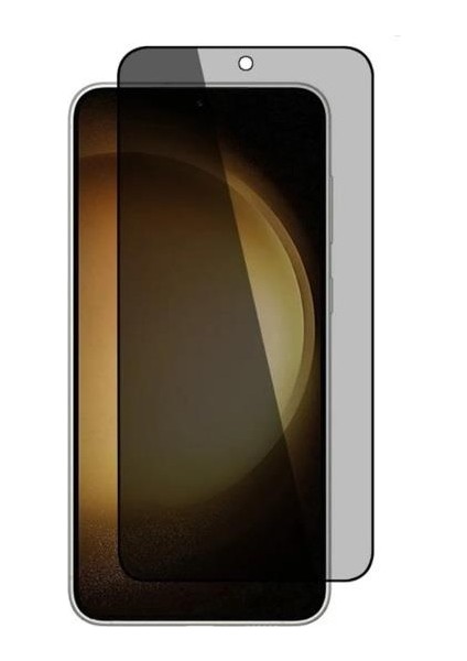 Samsung Galaxy S24 Uyumlu Warrior Hardness Kor Privacy Cam Ekran Koruyucu