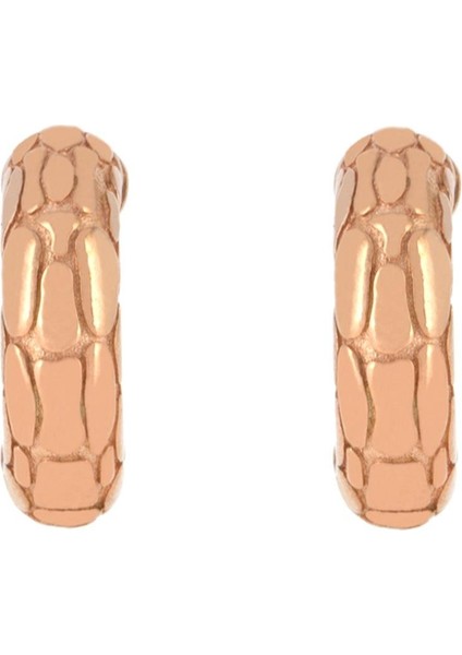 925 Ayar Gümüş Kaplumbağa Desenli Kanca Küpe fiyatları