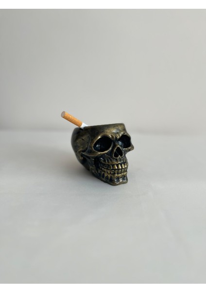 Kuru Kafa Küllük -Mumluk-Dekoratif Obje