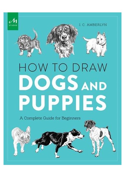 How To Draw Dogs And Puppies