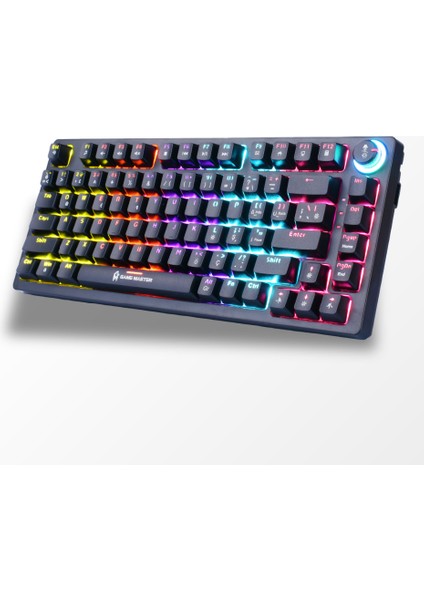 MECH-1000 Kablolu Rgb Mekanik Klavye