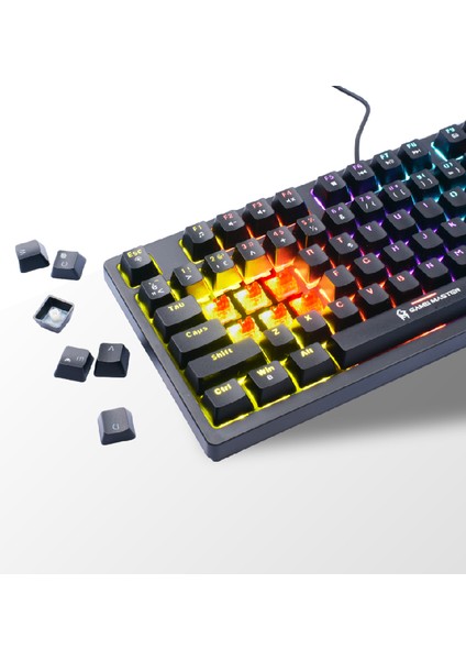 MECH-1000 Kablolu Rgb Mekanik Klavye