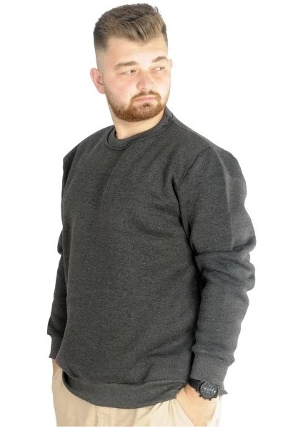 Erkek Sweatshirt Bisiklet Yaka Basic 20131 Antramelanj