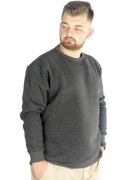 Erkek Sweatshirt Bisiklet Yaka Basic 20131 Antramelanj