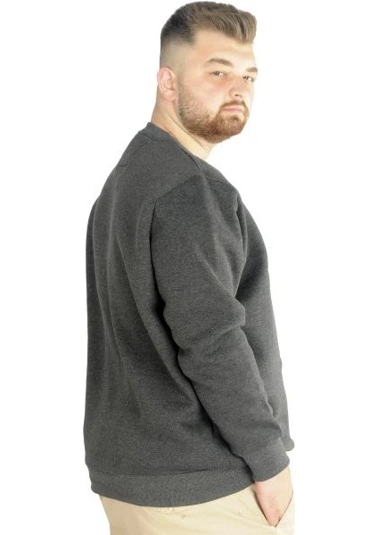 Erkek Sweatshirt Bisiklet Yaka Basic 20131 Antramelanj