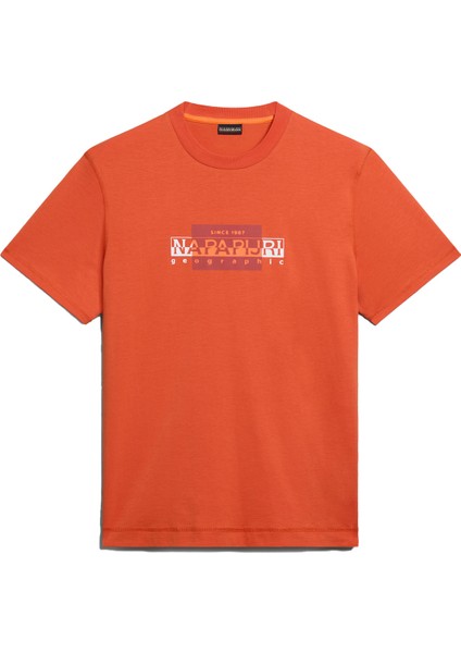 S-Smallwood Erkek T-Shirt - NP0A4HQK indirimleri