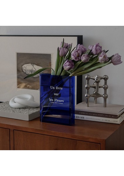 Xin Yue Zhang Kitap Vazo Akrilik Vazo Ins Çiçek Ev Dekorasyon Avrupa Modern Topraksız Masaüstü Süs Hediye, Mavi Beyaz (Yurt Dışından) indirimleri