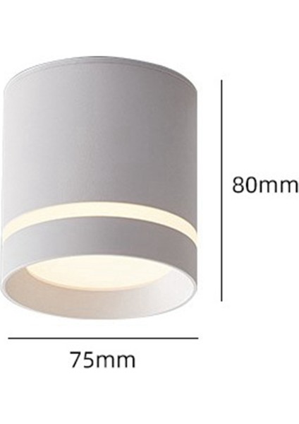 LED Sıva Altı Spot Işığı Tavan Işığı Spot Işığı 220V 12W Yüzeye Montaj Işığı Siyah (Yurt Dışından)