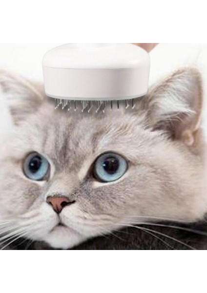 Xin Yue Zhang Pet Tarak - Köpek Kedileri Dökmek Için Pet Fırça Temizleme Fırçası Bakım Tarağı, Evcil Hayvan Için Gevşek Alt Katmanları ve Karışık Saçları Kaldırır (Yurt Dışından) fırsatları