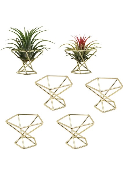 Xin Yue Zhang 6 Adet Geometrik Hava Tesisi Tutucu Airplants Raf Metal Bitkiler Standı Ekici Raflar Himmeli Dekor Tillandsia Konteynerler (Yurt Dışından)