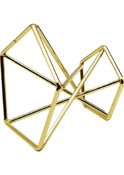 Xin Yue Zhang 6 Adet Geometrik Hava Tesisi Tutucu Airplants Raf Metal Bitkiler Standı Ekici Raflar Himmeli Dekor Tillandsia Konteynerler (Yurt Dışından)