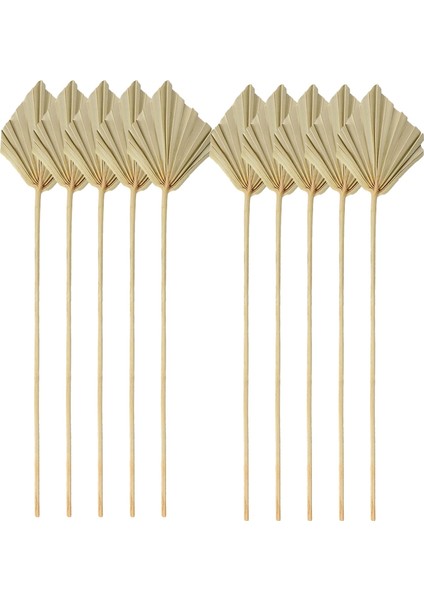 Xin Yue Zhang 10PCS Boho Kurutulmuş Palm Spears Küçük Doğal Kurutulmuş Palmiye Fanları Dekor Yaprakları (Yurt Dışından)