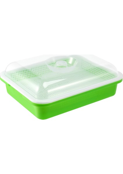 Xin Yue Zhang Kapaklı Tohum Tepsisi Serbest Fasulye Filiz Yetiştiricisi Filizlenen Tohum Tepsisi, Kirsiz Yol ve Büyük Kapasiteli (Yurt Dışından) fiyatları