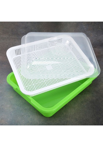 Xin Yue Zhang Kapaklı Tohum Tepsisi Serbest Fasulye Filiz Yetiştiricisi Filizlenen Tohum Tepsisi, Kirsiz Yol ve Büyük Kapasiteli (Yurt Dışından) indirimleri