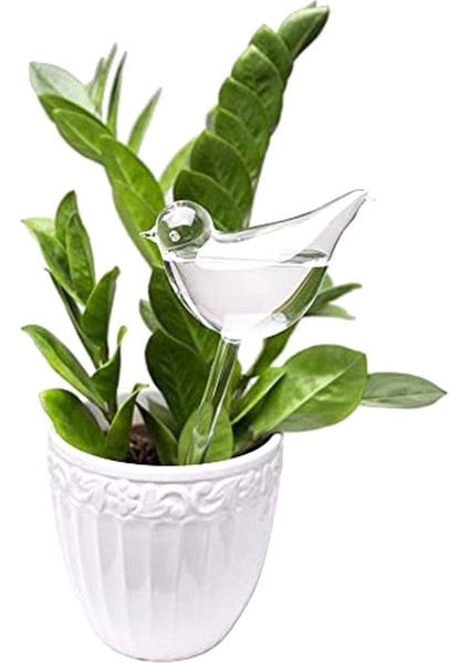 Xin Yue Zhang 6 Adet Bitki Suluk Kendi Kendine Sulama Küresi Kendi Kendine Sulama El Üflemeli Şeffaf Cam Bitki Su Ampulü Kapalı/açık Sulama (Yurt Dışından) modelleri