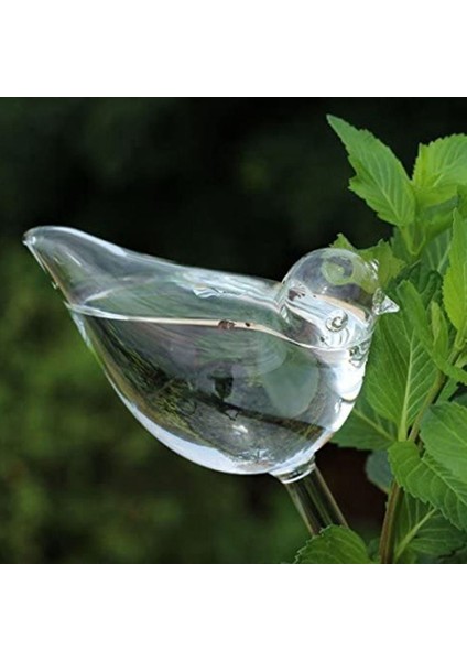 Xin Yue Zhang 6 Adet Bitki Suluk Kendi Kendine Sulama Küresi Kendi Kendine Sulama El Üflemeli Şeffaf Cam Bitki Su Ampulü Kapalı/açık Sulama (Yurt Dışından) fırsatları