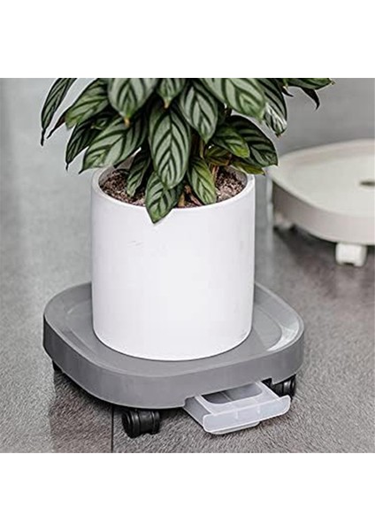 Bitki Paleti,tekerlekli ve Su Hazneli Bitki Standı, Saksı, Rulolu Yuvarlak Saksı, Beyaz (Yurt Dışından) indirimleri