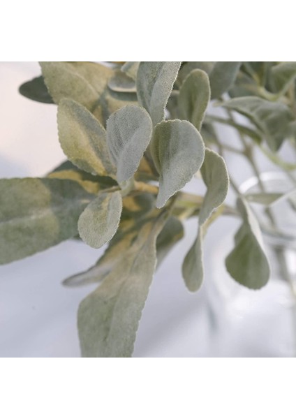 Xin Yue Zhang Sahte Kuzu Kulak Kaynaklanıyor 5 Adet Akın Yapay Yeşillik Katı Sprey Tavşan Kulak Yaprakları Ev Düğün Dıy Zanaat Için (Yurt Dışından) fiyatları