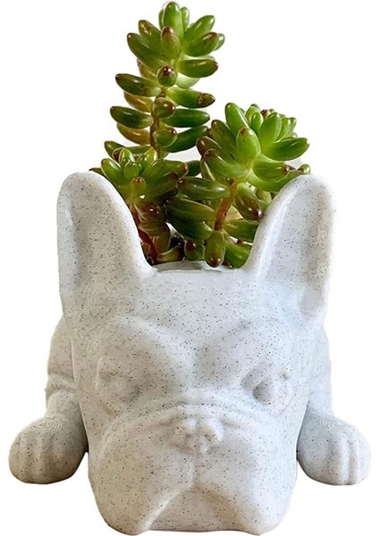 Xin Yue Zhang Etli Ekici, Bulldog Şekli Ev Bahçe Ofis Masaüstü Dekor Için Sevimli Bonsai Saksılar (Bitki Yok) (Yurt Dışından)