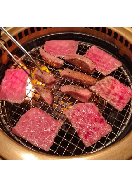 Xin Yue Zhang 304 Paslanmaz Çok Amaçlı Çelik Yuvarlak Izgara Ağı Ayak Barbekü Rafı Buharlı Pişirme Rafı Kamp Açık Barbekü Kafesleri (Yurt Dışından) modelleri