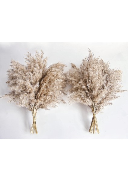 Xin Yue Zhang 30PCS Boho Dekor Kabarık Pompas Çim, Boho Için Doğal Kuru Pampas Çim Küçük Pampass Toplu (Yurt Dışından) fiyatları