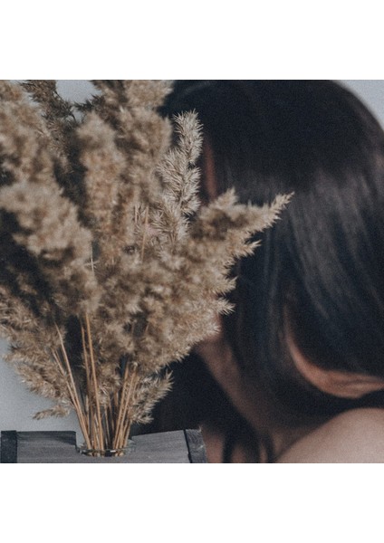 Xin Yue Zhang 30PCS Boho Dekor Kabarık Pompas Çim, Boho Için Doğal Kuru Pampas Çim Küçük Pampass Toplu (Yurt Dışından) modelleri