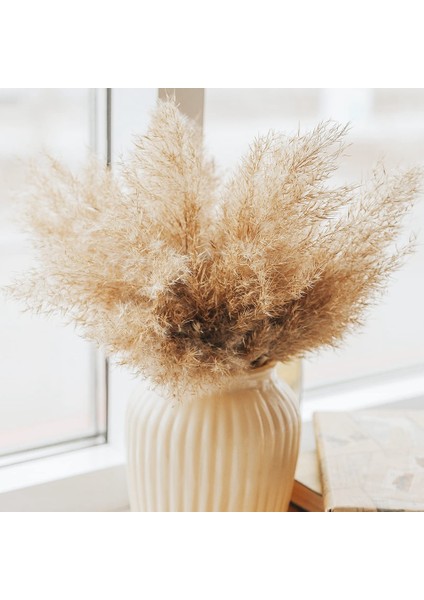 Xin Yue Zhang 30PCS Boho Dekor Kabarık Pompas Çim, Boho Için Doğal Kuru Pampas Çim Küçük Pampass Toplu (Yurt Dışından) fırsatları