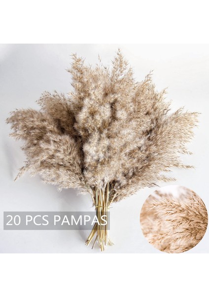 Xin Yue Zhang 30PCS Boho Dekor Kabarık Pompas Çim, Boho Için Doğal Kuru Pampas Çim Küçük Pampass Toplu (Yurt Dışından) indirimleri
