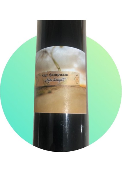 Sidr Şampuanı Tamamen Doğal Kimyasalsız Saç Komple Bakım 400 ml