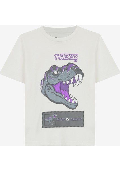 Graphic Tee B Short Sleeve Büyük Erkek Çocuk Beyaz Tshirt SK241093-102