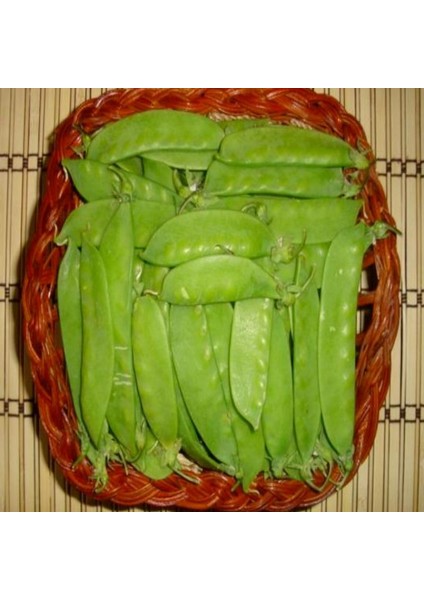 Geleneksel Yaprak Bezelye Tohumu (20 Tohum)